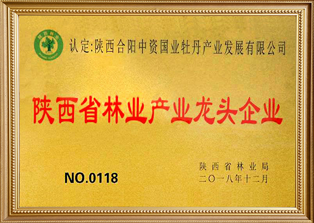 陕西省林业产业龙头企业（牌匾)