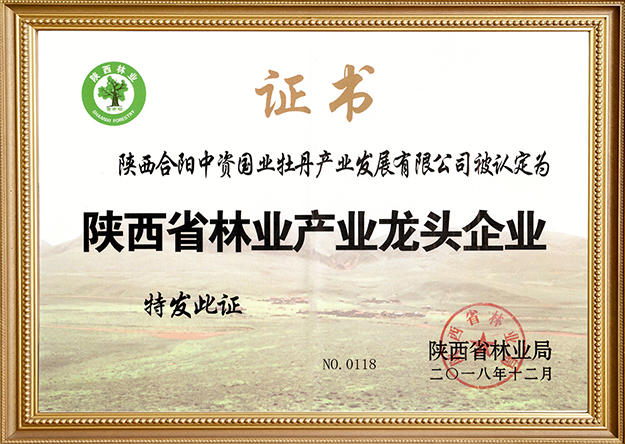 陕西省林业产业龙头企业证书